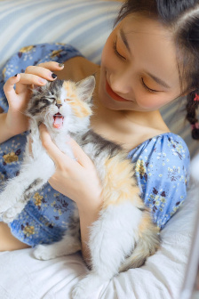 风车动漫(P)-